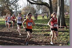 Begles 15.12.13 01 715 * 679 x 453 * (216KB)